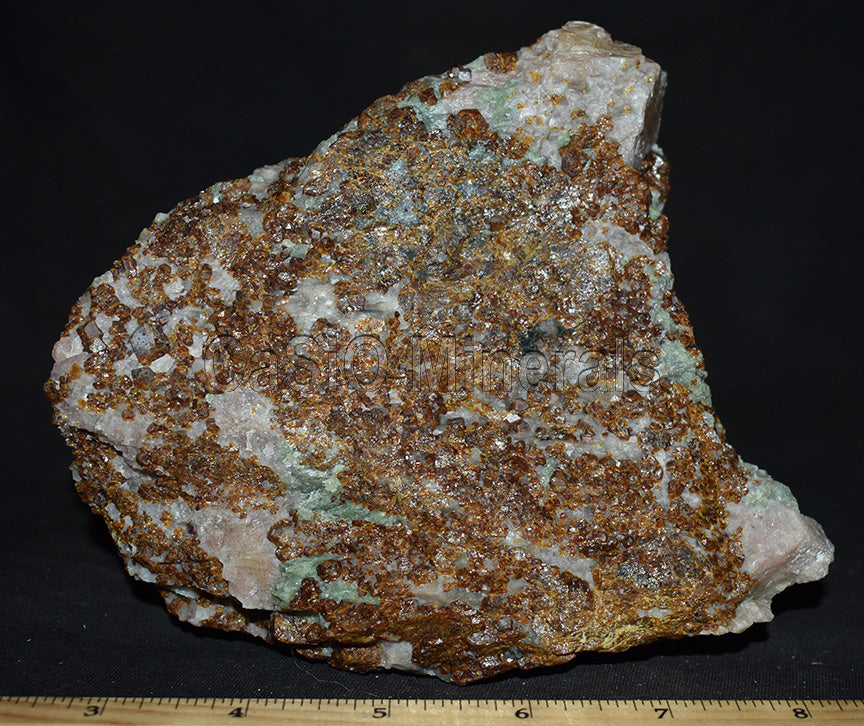 Fluorapatite, Calcite, Aragonite