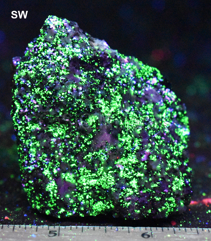 Sphalerite, Cleiophane, Calcite (white FL), Willemite