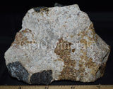 Clinohedrite, altered Hardystonite, Willemite