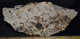 Rare Honeycomb Pectolite, Prehnite, Nasonite