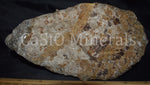 Large Hardystonite, Clinohedrite, Calcite, Willemite