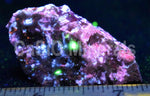 Margarosanite, Pectolite, Willemite, Hyalophane