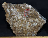 Glassy Hardystonite, Calcite, Willemite, Zincite (NF)