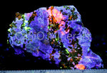 Hardystonite, Clinohedrite, Willemite