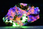 Clinohedrite, Hardystonite, Willemite