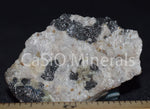 Clinohedrite, Hardystonite, Willemite