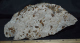 Rare Honeycomb Pectolite, Prehnite, Nasonite