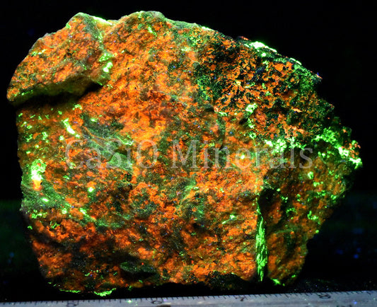 Clinohedrite, Willemite, Bustamite (NF)