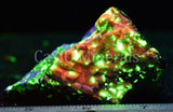 Bustamite (SW), Hardystonite, Clinohedrite, Willemite