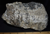 Hardystonite, Willemite, Calcite