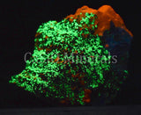 Hardystonite, Calcite, Willemite