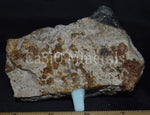 Hardystonite, Clinohedrite, Willemite