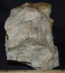 Axinite, Willemite