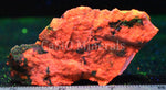 Axinite