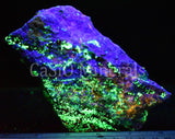 Clinohedrite, Hardystonite, Calcite, Willemite