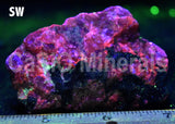 Golden Sphalerite