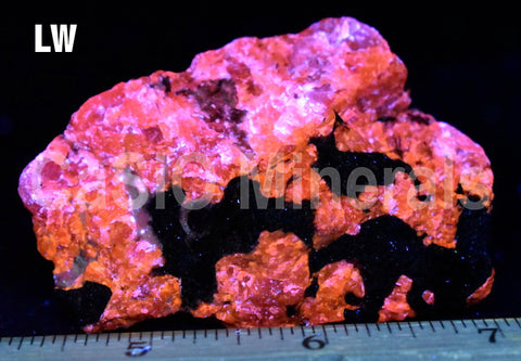 Golden Sphalerite