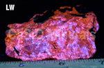 Golden Sphalerite