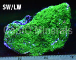 "Tutti-Frutti" Sphalerite, Cleiophane, Willemite