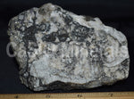 Sphalerite, Cleiophane, Calcite