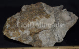 Altered Hardystonite, Clinohedrite, Calcite, Willemite