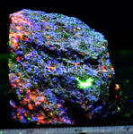 Hardystonite, Calcite, Clinohedrite, fluorescent Bustamite (SW), Willemite
