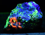Bustamite (NF), Hardystonite, Clinohedrite, Calcite, Willemite