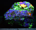 Fluorescent Fluorapatite, Hardystonite, Clinohedrite, Calcite, Willemite