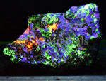 Fluorescent Fluorapatite, Hardystonite, Clinohedrite, Calcite, Willemite