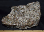 Fluorescent Fluorapatite, Hardystonite, Clinohedrite, Calcite, Willemite