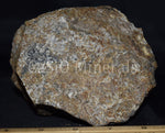 Clinohedrite, Hardystonite, Bustamite (NF), Willemite